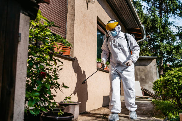 Best Bed Bug Extermination  in Sansom Park, TX
