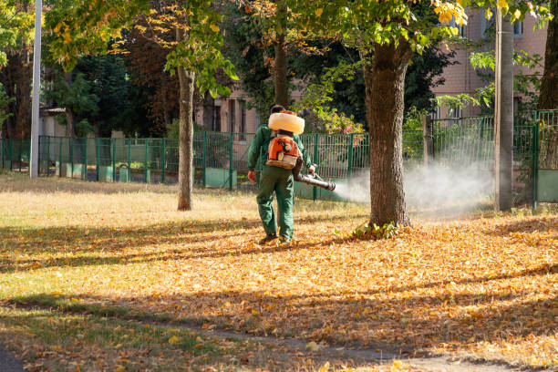 Best Affordable Pest Control Services  in Sansom Park, TX