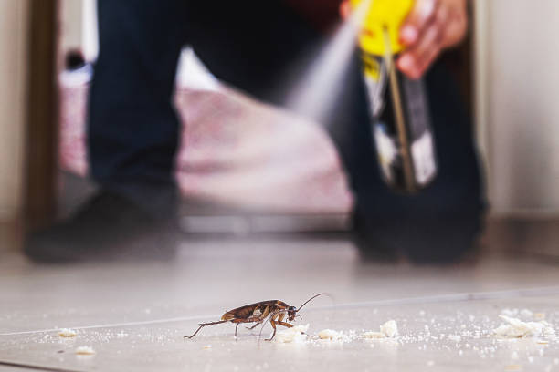Best Emergency Pest Control  in Sansom Park, TX