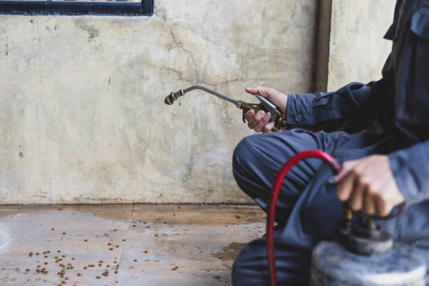 Best Pest Removal Services  in Sansom Park, TX