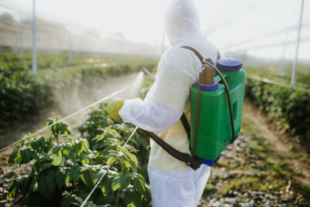 Best Best Pest Control Companies  in Sansom Park, TX